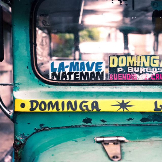 Dominga cover art