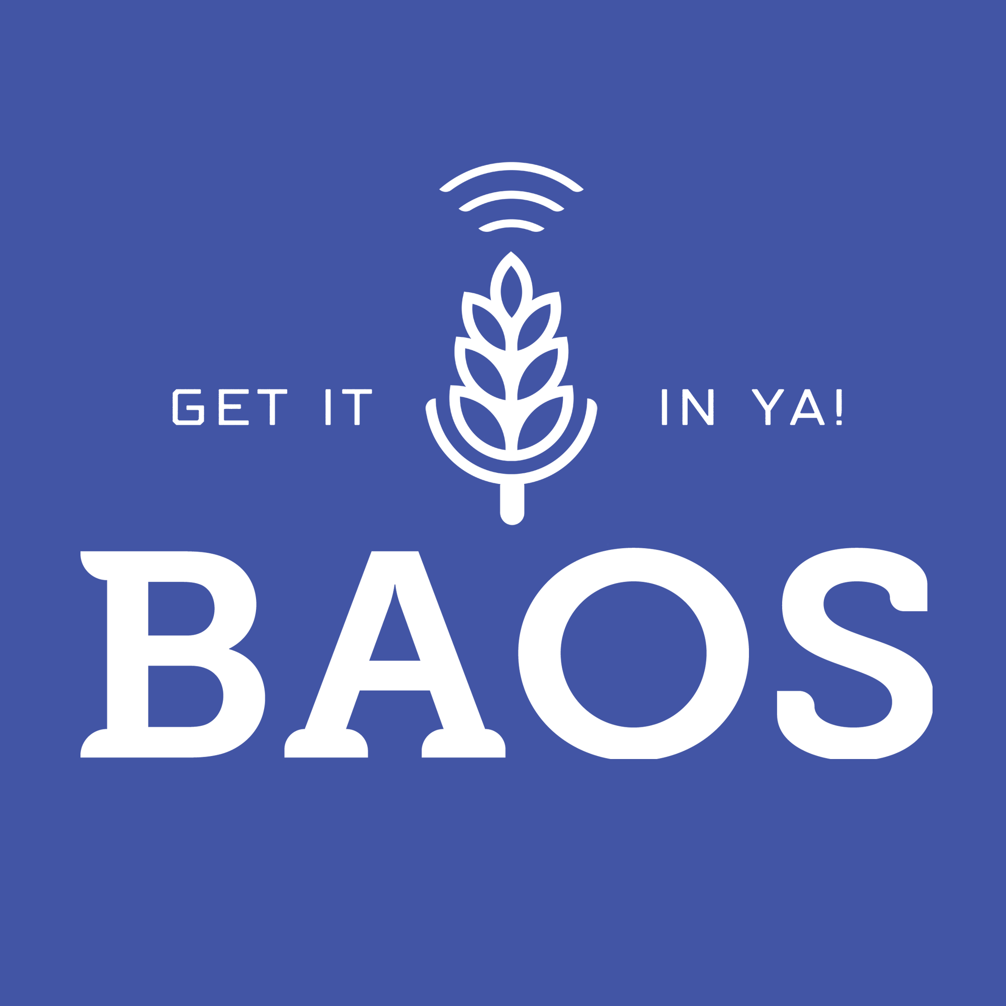 BAOS: Beer & Other Shhh Podcast cover art