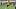 doc-content image