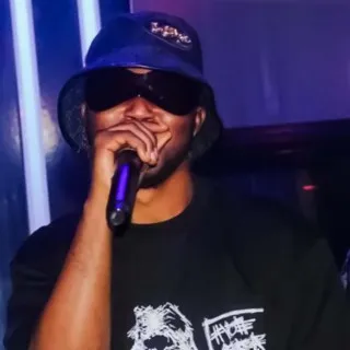 Wealthplug 1.0 cover art