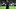 doc-content image