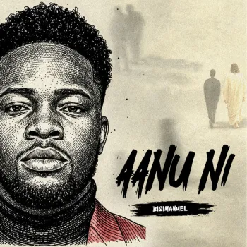 Aanu Ni cover art