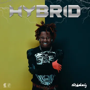 HYBRID cover art