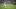 doc-content image