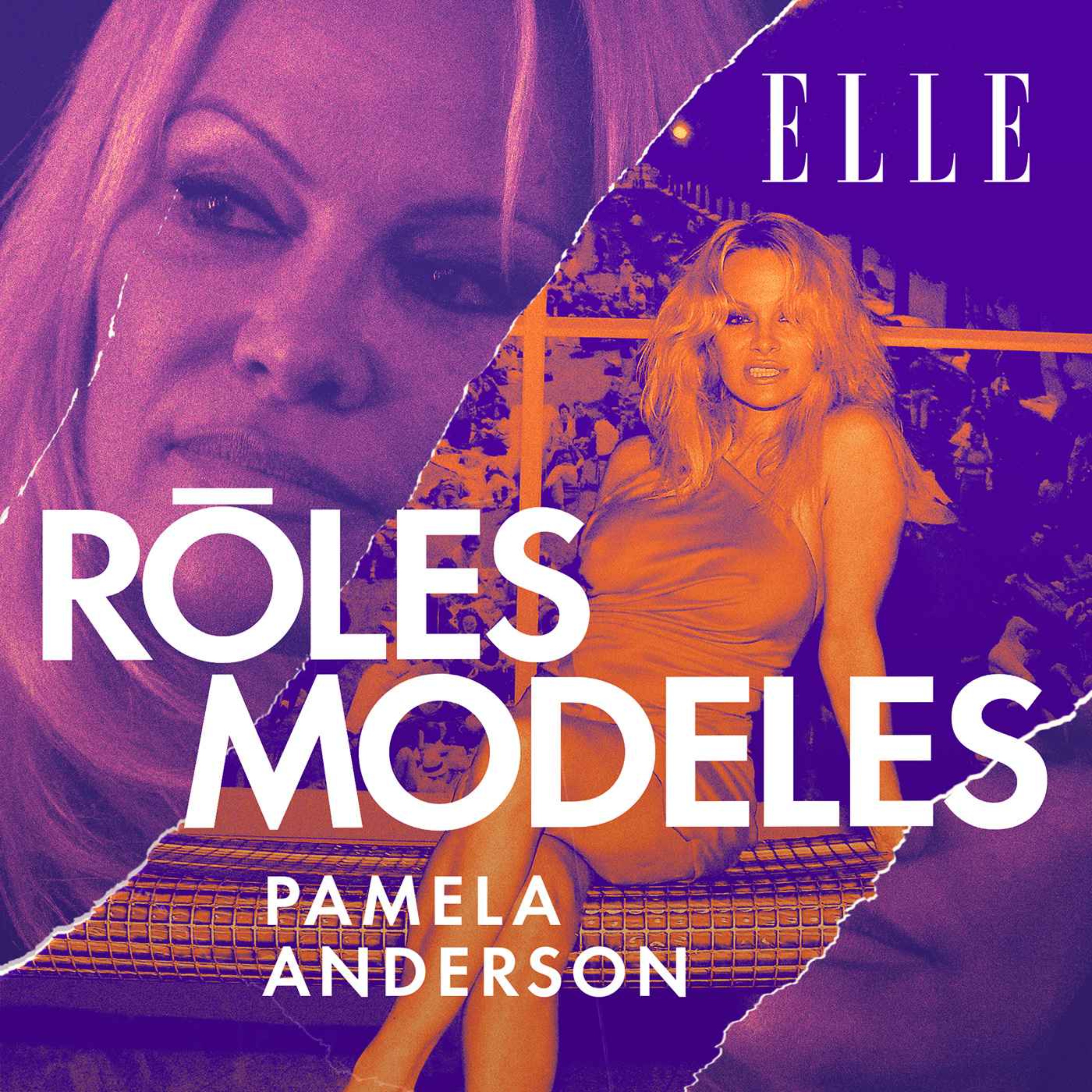 Pamela Anderson : la bimbo que personne ne prenait au sérieux cover art