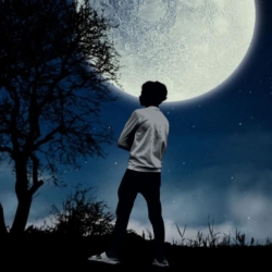author avatar