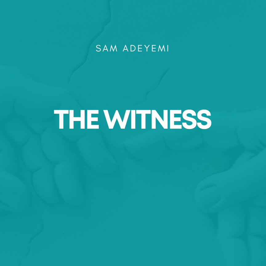 The Witness cover art