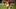 doc-content image