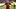 doc-content image