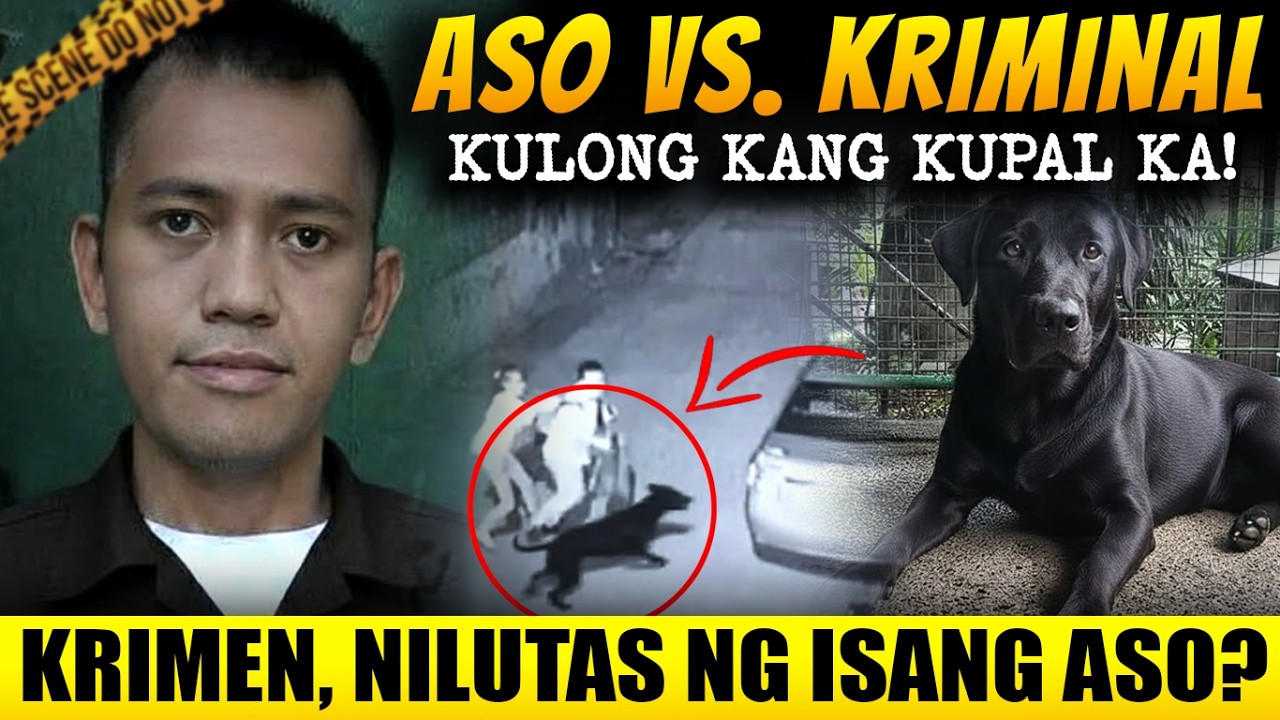 ASO LANG PALA ANG MAGPAPAKULONG SA KUMAG NA ITO - Tagalog Crime Story cover art