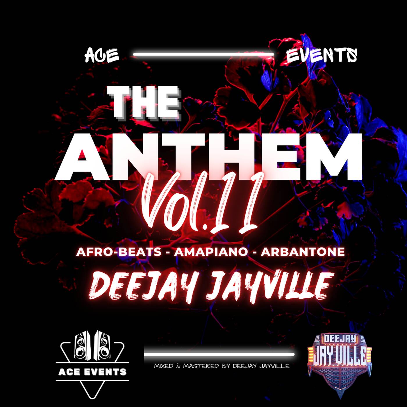THE ANTHEM VOL.11 ((BEST OF 2024-2025 AFROBEATS/ARBANTONE/AMAPIANO))
