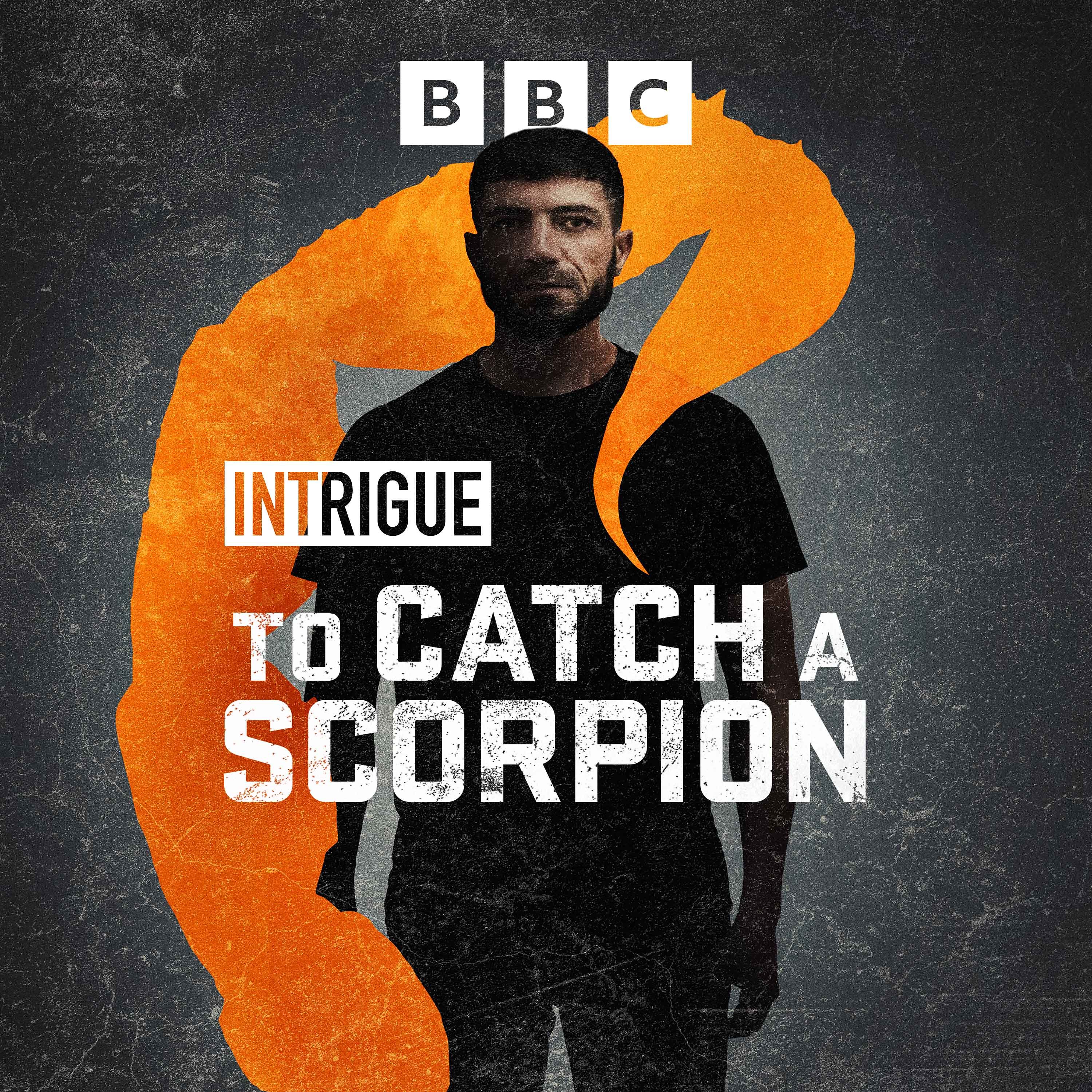 To Catch a Scorpion: 4. Dangerous Meddling cover art