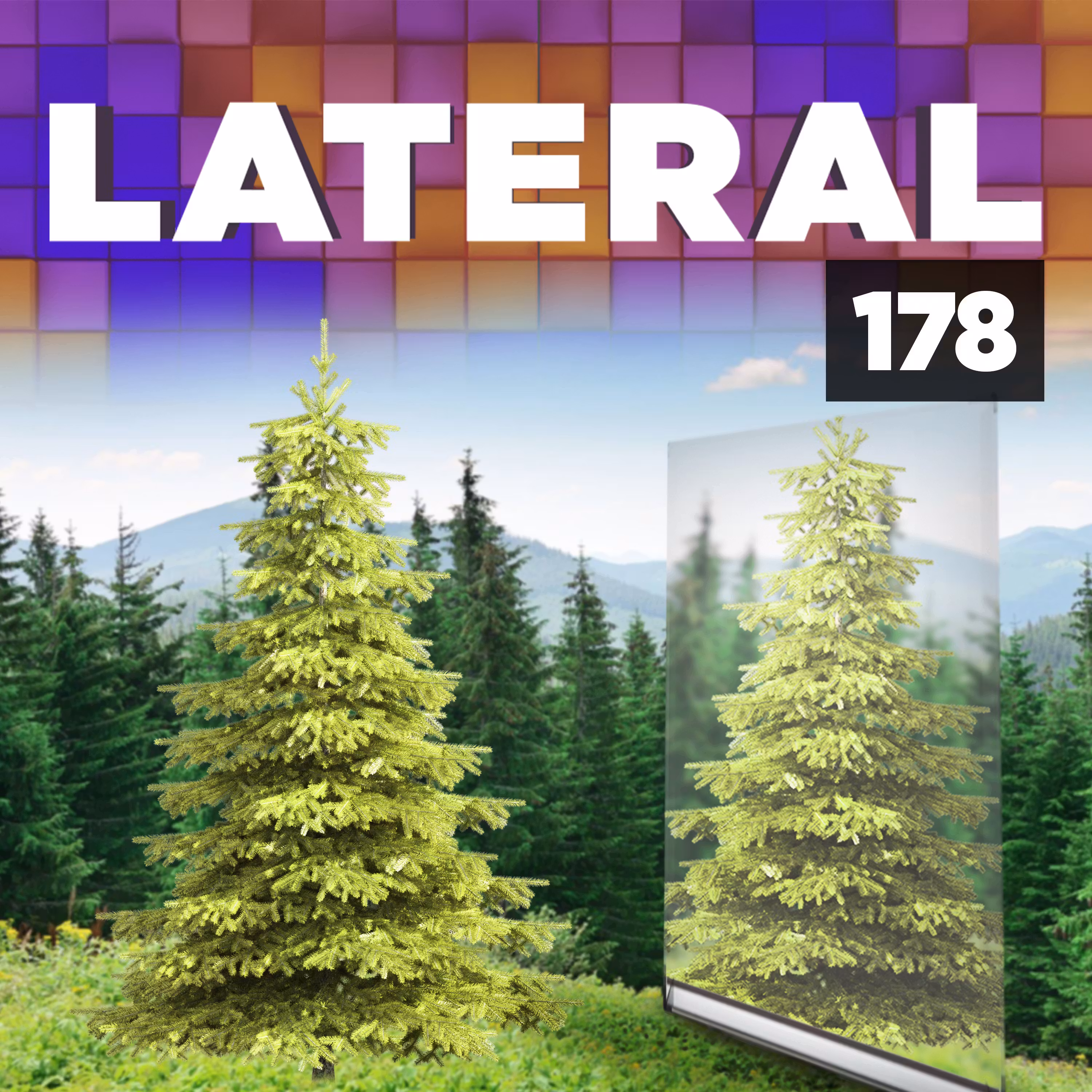 The woodland mirror cover art