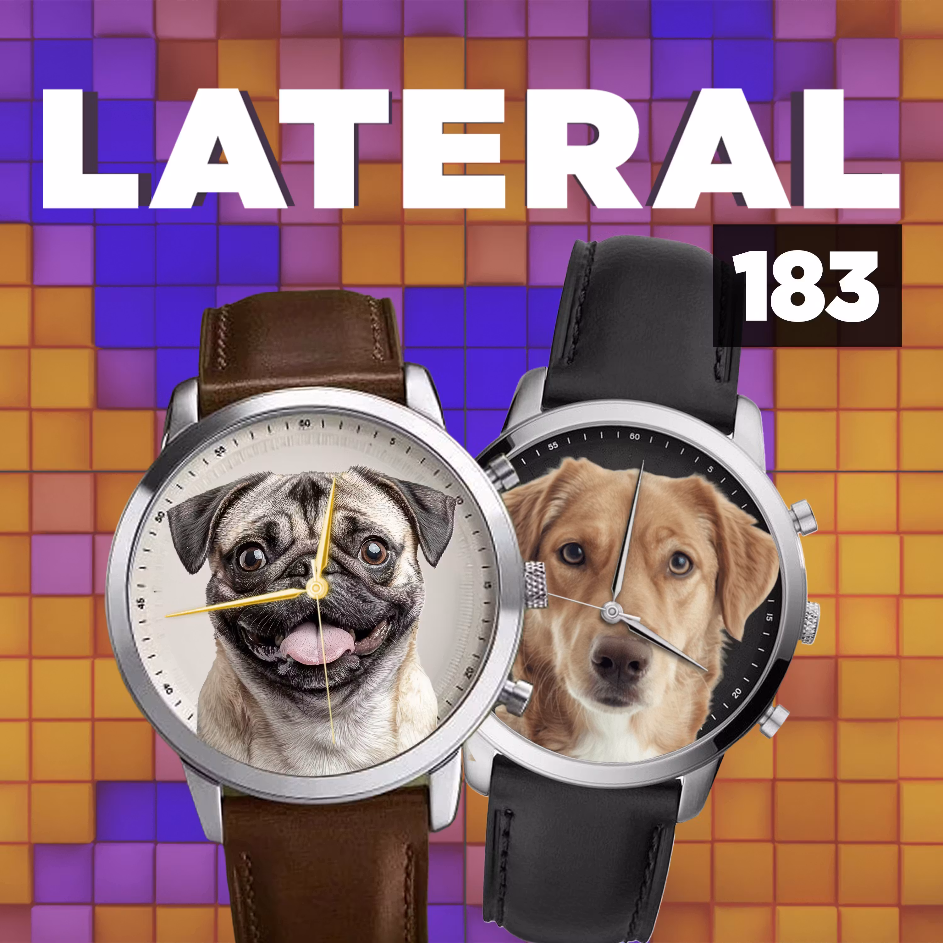 Dog watches