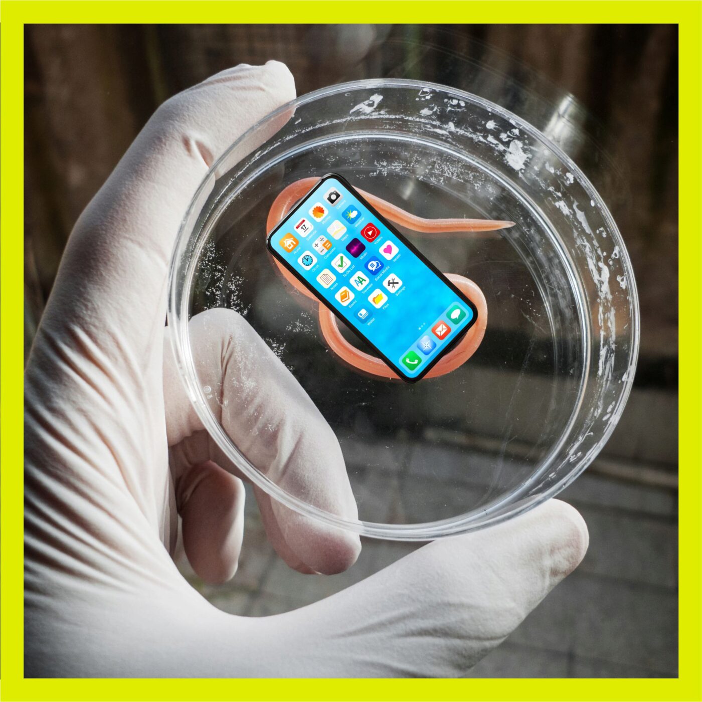 Ton smartphone est un parasite