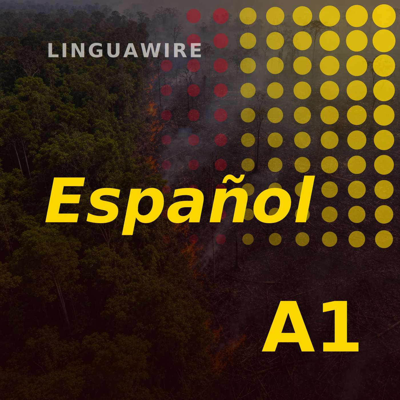 A1 Spanish News | Brazil's Amazon Burns Far Less in 2025