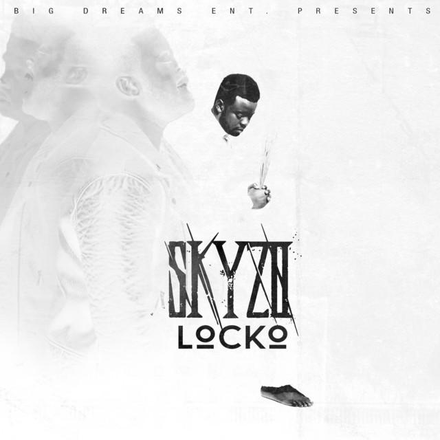 Skyzo cover art