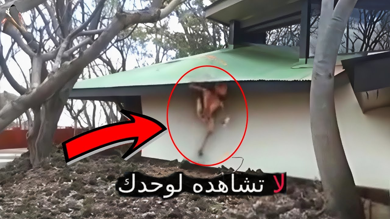 10 مشاهد حقيقية لأشياء مرعبة صورتها عدسات الكاميرا صدفة ولم يجدوا لها تفسيرًا cover art
