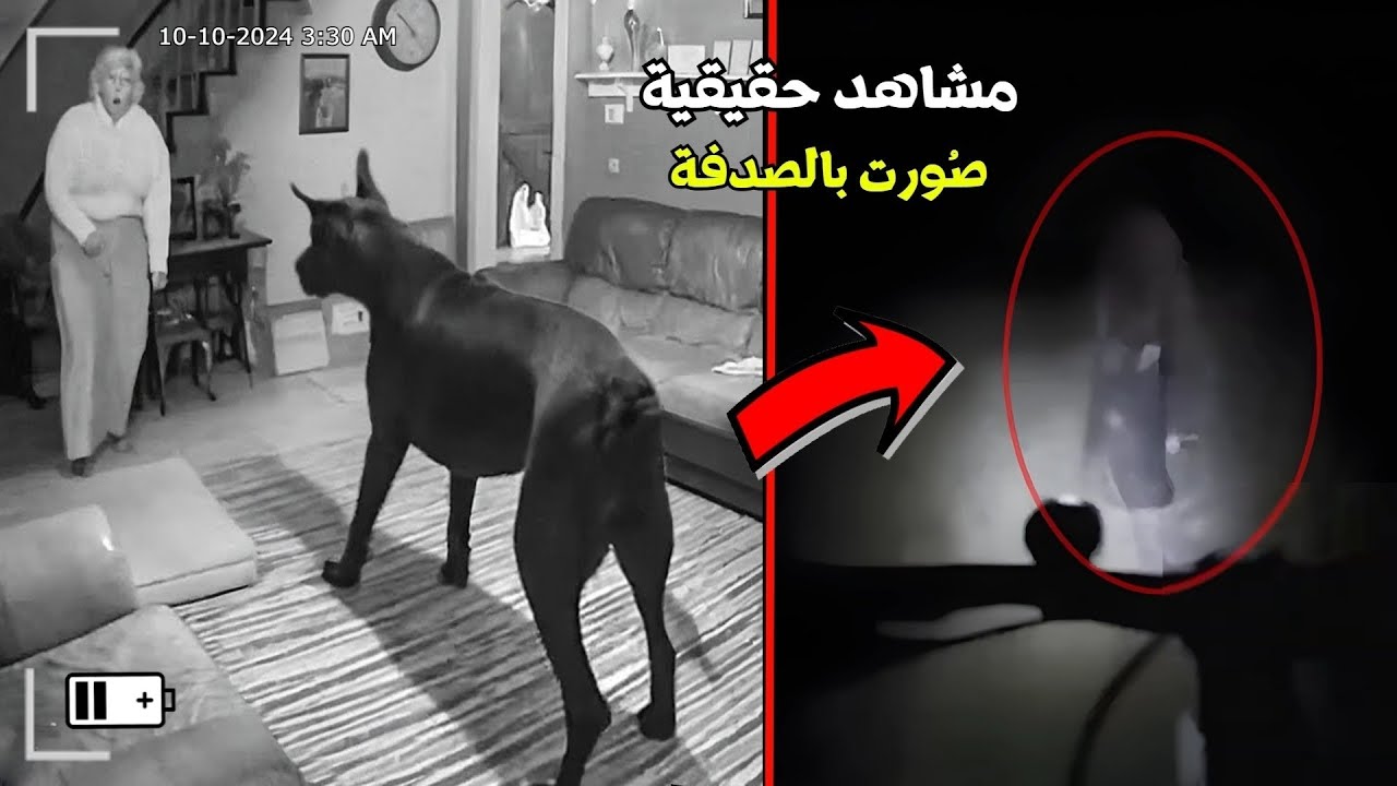 7 مشاهد حقيقية مرعبة لمخلوقات مخيفة ولحظات غامضة صورتها عدسات الكاميرا صدفة cover art