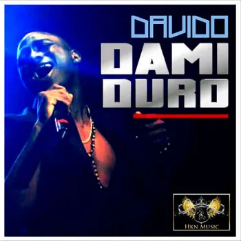 Dami Duro cover art