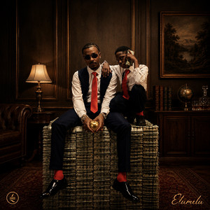 Elumelu cover art