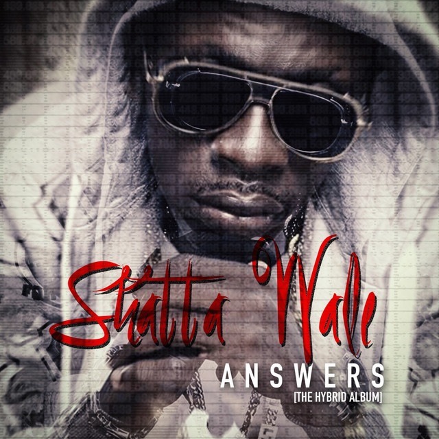 Everybody Like My Ting cover art