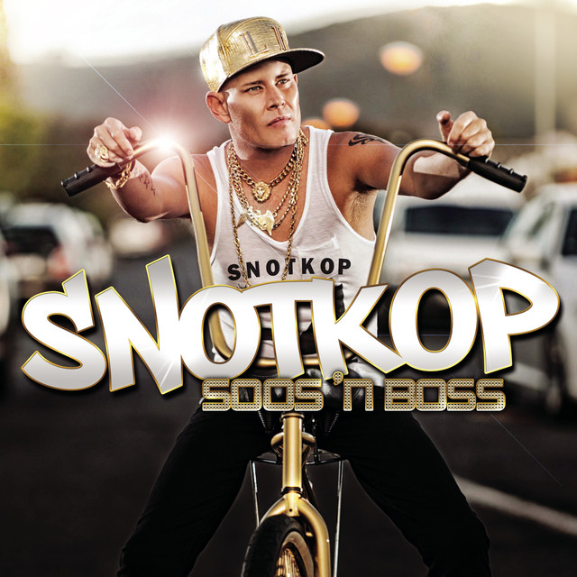 Dikkelicious cover art