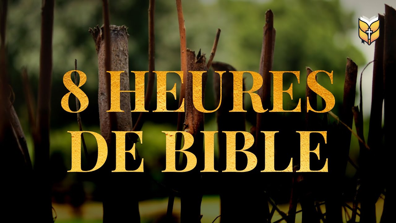 8 heures de Bible avec le chant des oiseaux #biblevision cover art