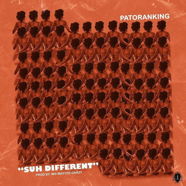 Suh Different cover art