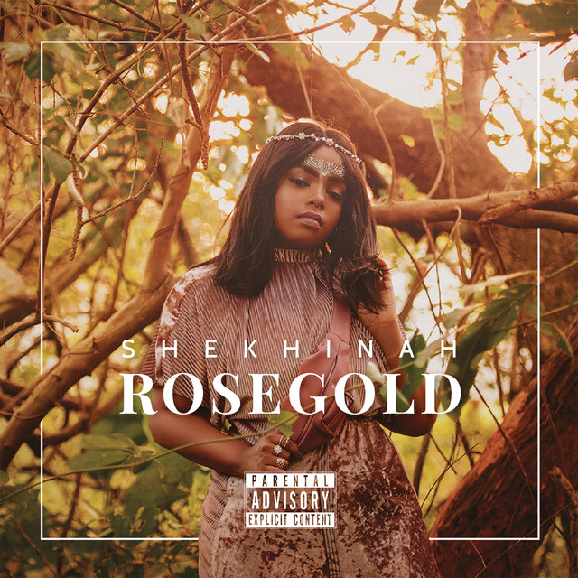 Please Mr cover art