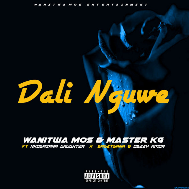 Dali Nguwe (feat. Nkosazana Daughter, Basetsana and Obeey Amor) cover art