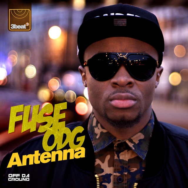 Antenna cover art