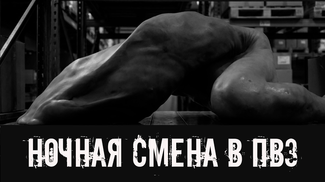 Ночная смена в ПВЗ! Страшные истории на ночь. Страшилки на ночь cover art