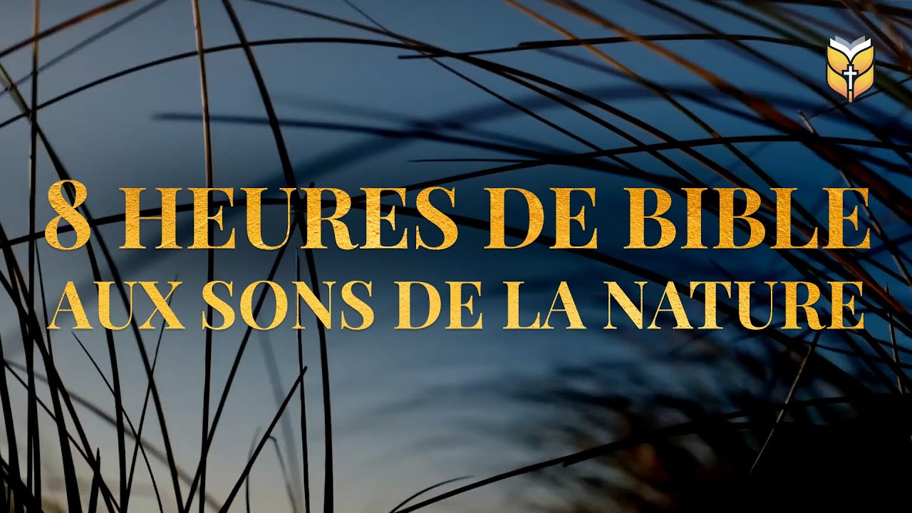 8 heures de Bible aux sons de la nature #biblevision cover art