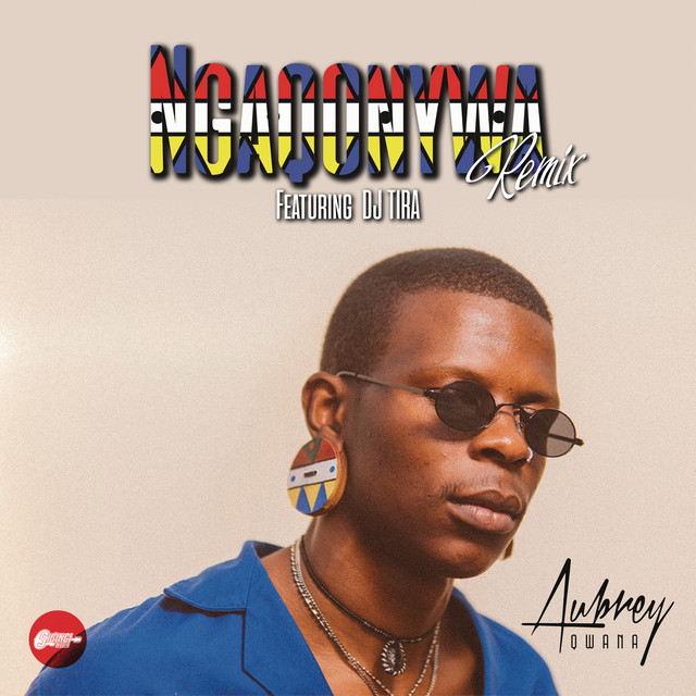 Ngaqonywa (Remix) (feat. DJ Tira) cover art