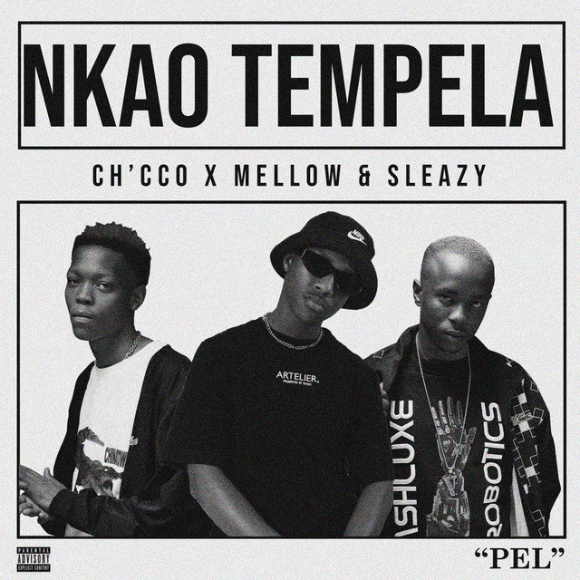 Nkao Tempela cover art
