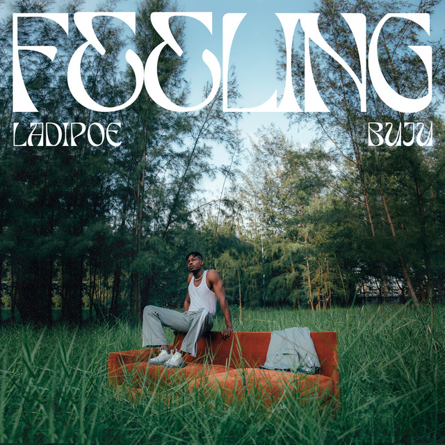 Feeling cover art