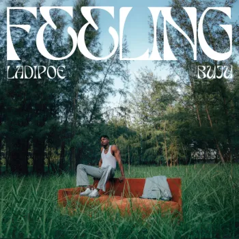 Feeling cover art