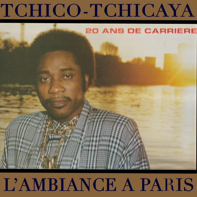 L'afrique de l'an 2000 cover art