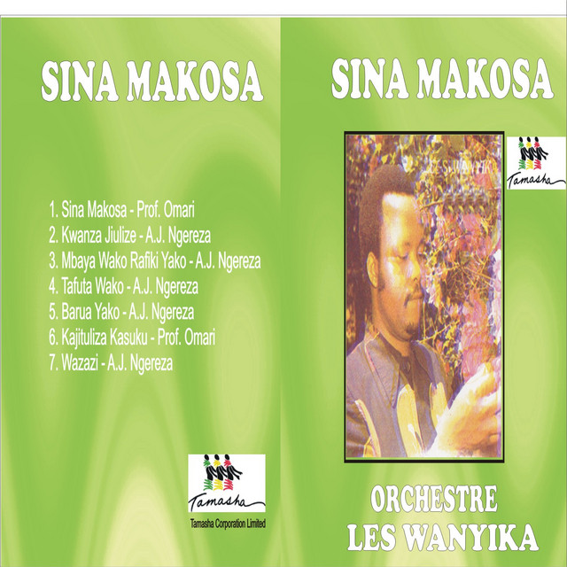Sina Makosa cover art