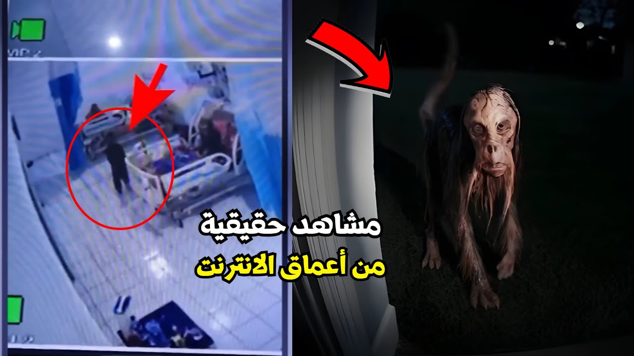 أقوى 6 مشاهد حقيقية مرعبة صورتها عدسات الكاميرا بالصدفة لمخلوقات غامضة ومخيفة cover art