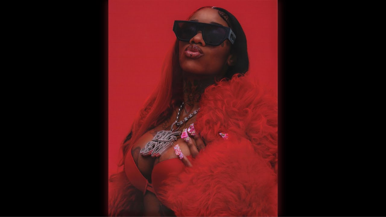 Sexyy Red - For No Reason Remix Lady Binladen - Not Yours cover art