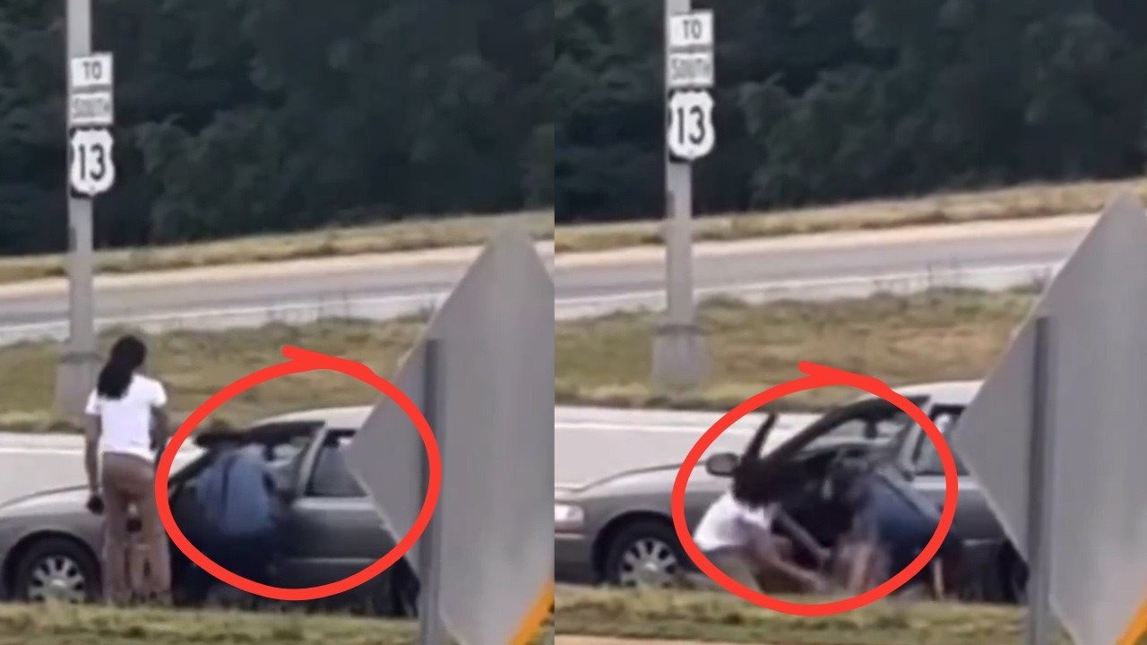 Cop Drags Woman From Car In Delaware Traffic Stop (Watch Video) cover art