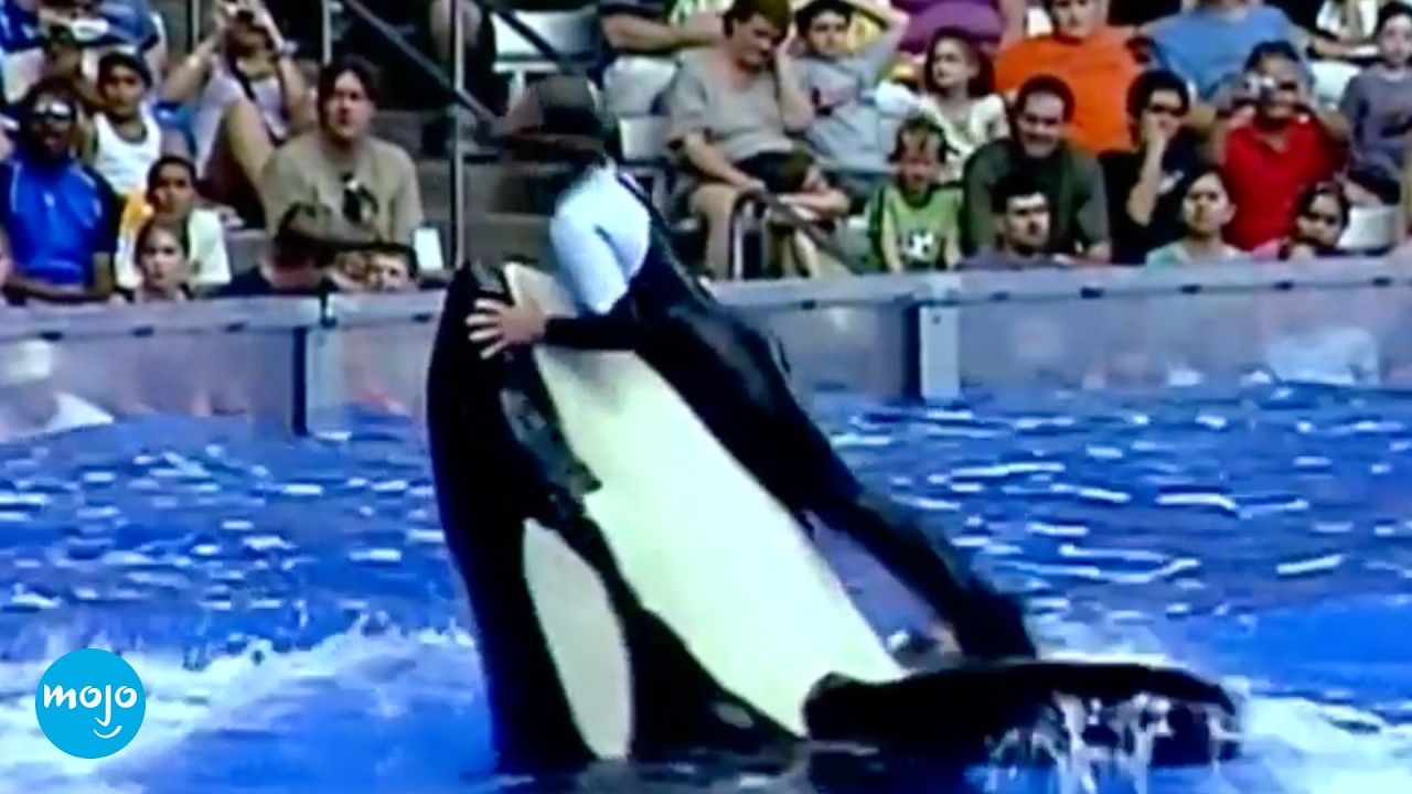 10 Disturbing Theme Park Incidents CAUGHT on Camera cover art