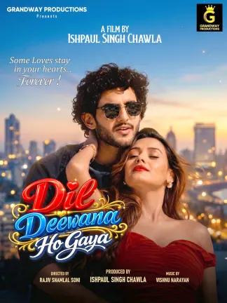 Dil Deewana Ho Gaya (2026) poster