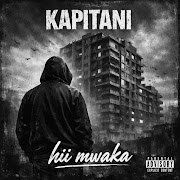 Hii mwaka cover art