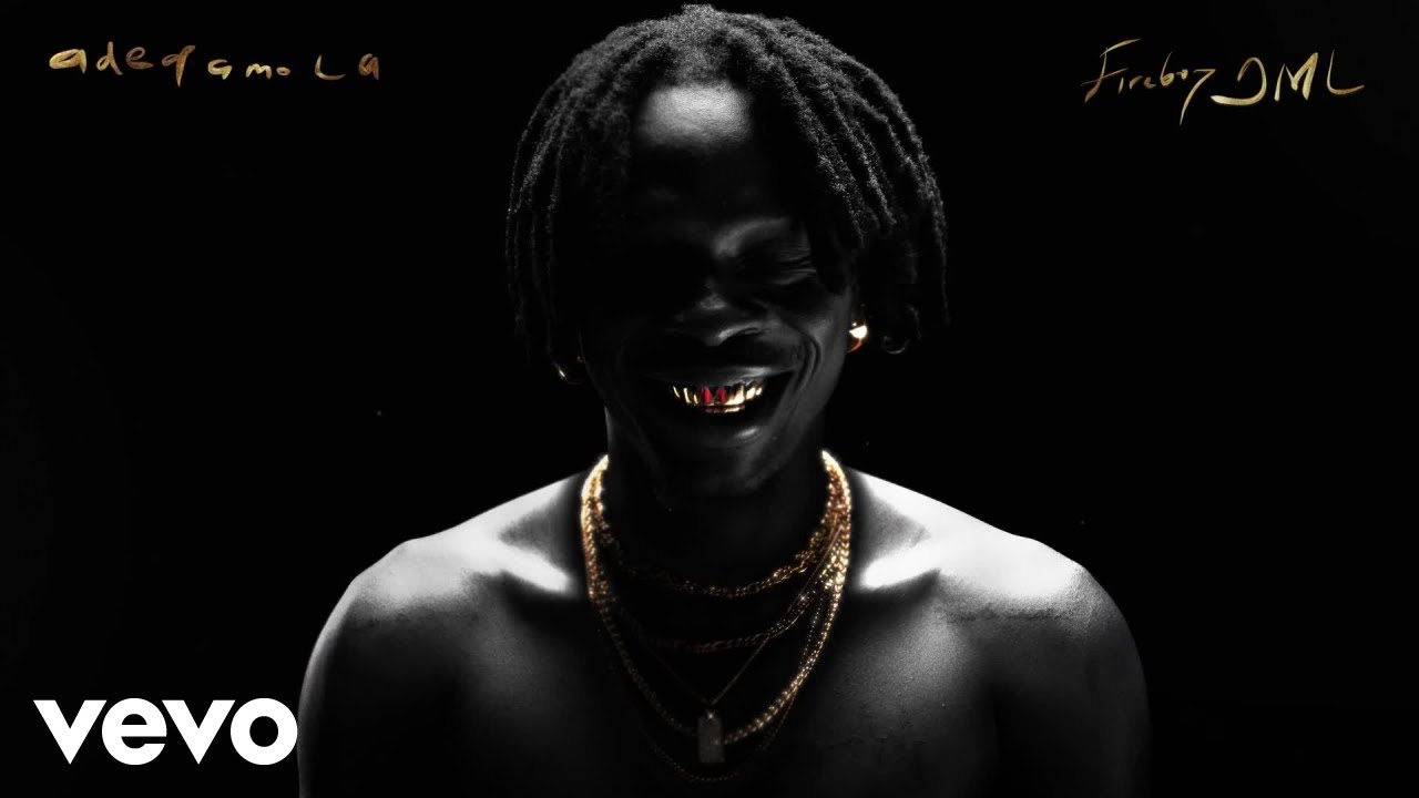 Fireboy DML - need me (Official Visualizer) cover art