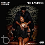 Till We Die (feat. Ruger) cover art
