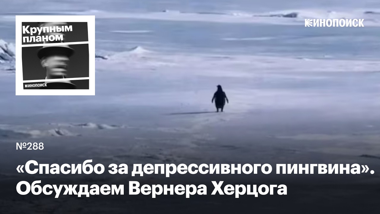 Как Вернер Херцог снимает доккино и генерирует мемы для зумеров (feat. Beat Film Festival) cover art