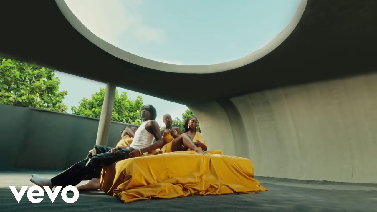 Fireboy DML, Seun Kuti - ecstasy (Official Video) cover art